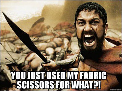 Meme based on "This is Sparta!" showing Gerard Butler's character leading his army. Text overlay reads "you used my fabric scissors for what?!"